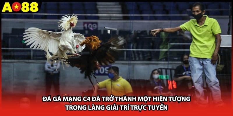 Đá gà mạng c4 đã trở thành một hiện tượng trong làng giải trí trực tuyến